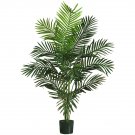 5' Paradise Palm Silk Tree
