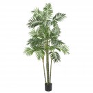 6' Areca Silk Palm Tree