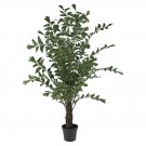 6’ Fishtail Palm Silk Tree