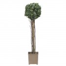 2.5' English Ivy Topiary Silk Tree