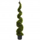 5' Cypress Spiral Silk Tree