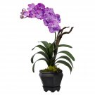 Vanda w/Black Hexagon Vase Silk Arrangement - Purple