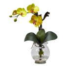 Mini Phalaenopsis w/Fluted Vase Silk Flower Arrangement - Yellow