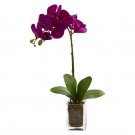 24” Orchid Phalaenopsis in vase (Mauve)