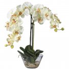 Phalaenopsis W/Glass Vase Silk Flower Arrangement (White)