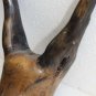 Antique Natural Wood Polished Fox Head Shaped Primitive Wooden Art Rare 10"