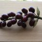 Polished Stone Fruit Sculptures Red Stone Grape Cluster with Jadeite Leaves