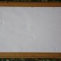 Real Butterfly Taxidermy Insect Framed Glass Entomology Mix Collection of 10 XXL
