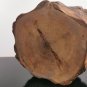 Jewelry Trinket Log Secret Box Hand Made Natural Wood Bark Around Wooden Art