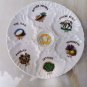 Made in Israel by Eckstein Porcelain Passover Tray Plate Judaica Holy Land Rare