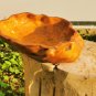 Wabi Sabi Style Natural Moroccan Tuya Burn Wood Bowl Hand Carved Home Decor Rare
