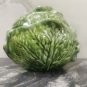 Vintage Cabbage Bowl With Lid Majolica Ceramics Soup Salad Signed Sonia