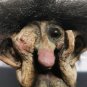 Old Vintage Norwegian Nyform Troll Doll Original 10cm tall Handmade Folk Art