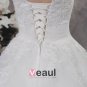 Tulle Pleated Applique Beading Sweetheart Chapel Bridal Ball Gown Wedding Dress