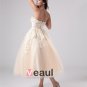Applique Yarn Tea Length Strapless Mini Bridal Gown Wedding Dress