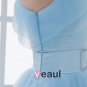 Ball Gown Silk Yarn Ruffle One Shoulder Floor Length Quinceanera Prom Dress