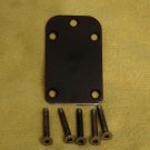 STEINBERGER ORIGINAL NEWBURGH BASS NECK PLATE AND SCREWS ULTRA RARE!!!