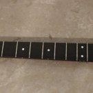STEINBERGER BASS NECK NEWBURGH RARE !!!