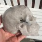 Large Activated MASTER ENTITY Dendritic QUARTZ crystal Skull Manifestation Luck Good Fortune