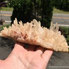 6.5" Pink Quartz Crystal Cluster LARGE Metaphysical Charging plate Spritual Angelic Realm Healing