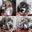 LARGE Organic Dendritic Agate Skull Activated Druzy CAVES Master Dendritic Opal Skull MERLINITE