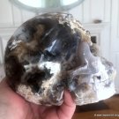 LARGE Organic Dendritic Agate Skull Activated Druzy CAVES Master Dendritic Opal Skull MERLINITE