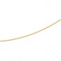 Solid Serpentine Chain