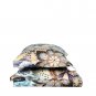 Set of 2 pillows cases 20"x32" Missoni Home Olga