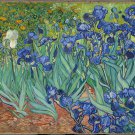 Irises-Oil on canvas paintings-Vincent Van Gogh-reproduction