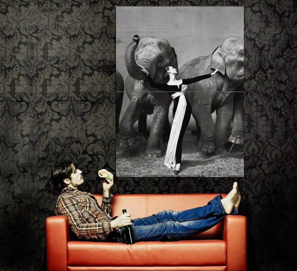 Dovima With Elephants Paris 1955 BW Photo Huge 47x35 Print Poster