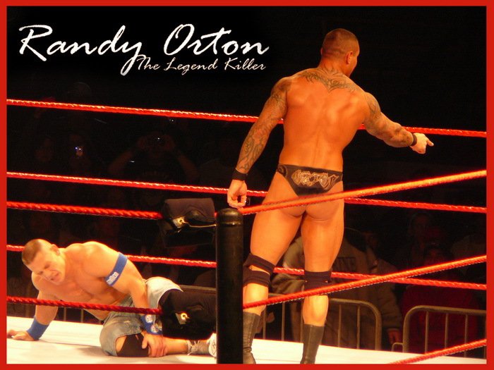 Randy Orton Killer Wrestling WWE 32x24 Print Poster.