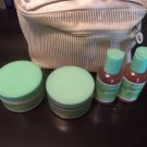 ARBONNE Ginger Citrus Body Butter, Sugar Scrub,  2 Body Wash New Sealed