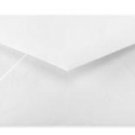 10 Mini envelopes to fit Gift/enclosure cards