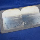 Stereograph Stereoview card Keystone View 13546 Navel Orange Grove San Gabriel