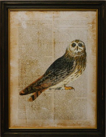 Antiquarian Bird I