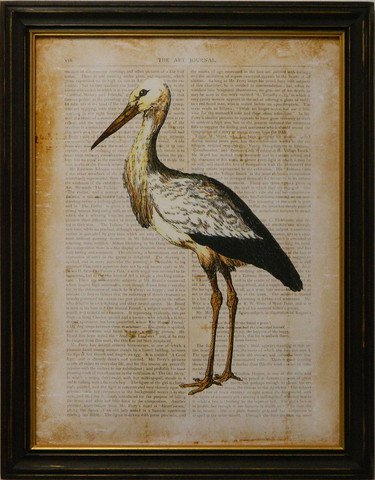 Antiquarian Bird II
