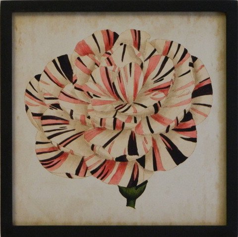 Pop Floral IV