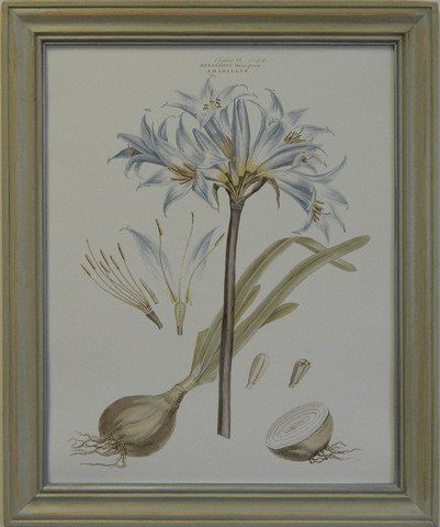 Bashful Blue Floral II