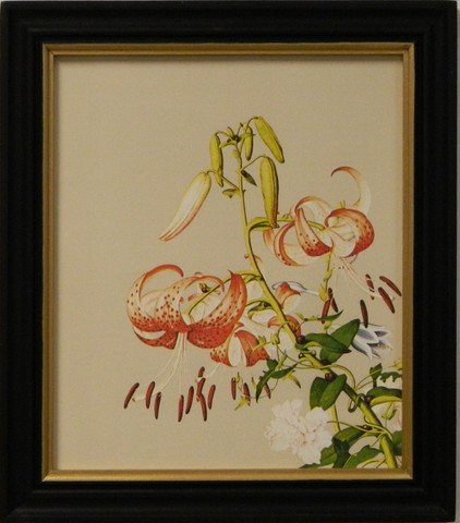 Erna's Botanical IV