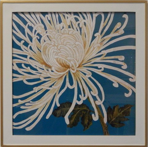 Spider Mums II