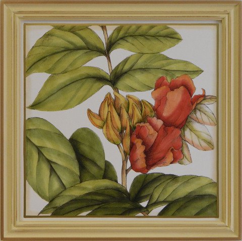 Tropical Blooms III