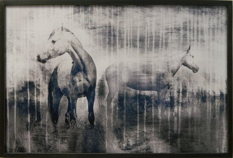Grey Serenade