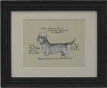 Dandie Dinmont