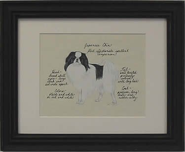 Japanese Chin, Black & White