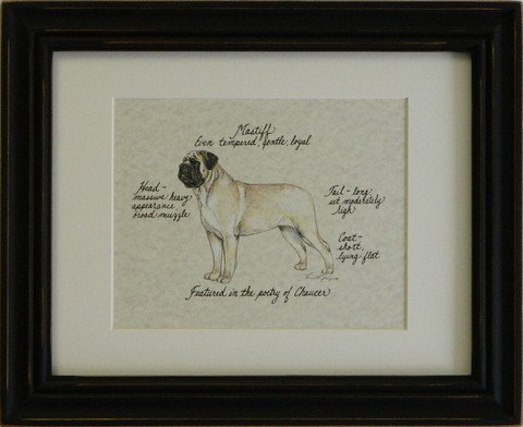 Mastiff