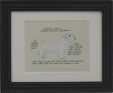 Sealyham Terrier