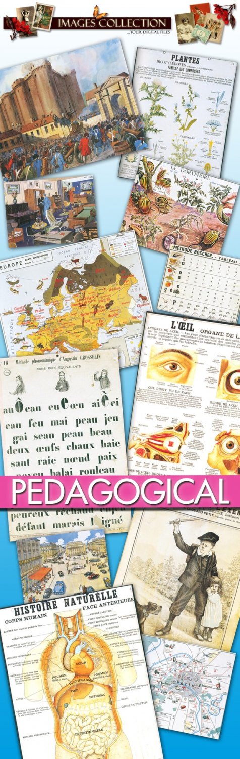 Old Pedagogical Pictures: cards