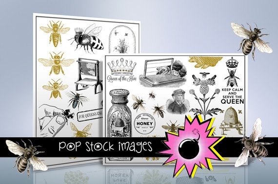 Bees - Hives - Honey & Beekeeping Digital Img. - 300 Image Bumblebee Collection