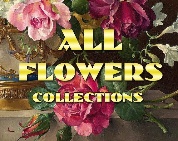 FLOWERS Collections with 27 300 vintage print