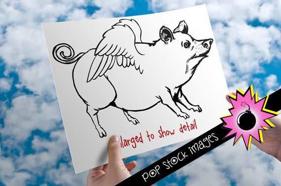 Flying Piggy Digital Image Transfer-Flying Pig print for TotesLinens Shirts-2 Versions Pink